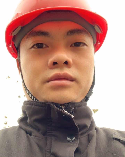龙飞凤舞