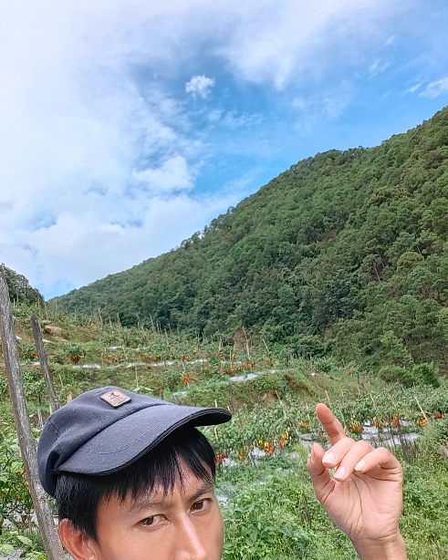 思蓬